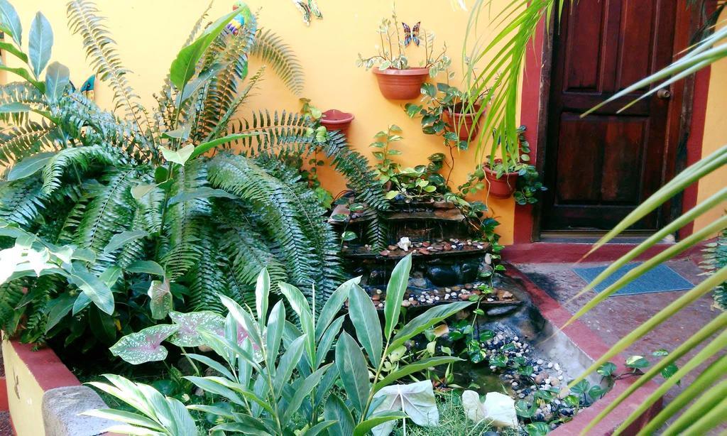 Hotel La Cabana Puerto Ángel Exterior photo